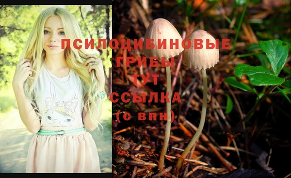 Альфа ПВП Алзамай